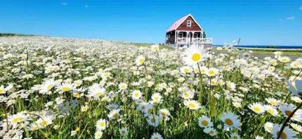 749, boulevard du Griffon, Gasp\u00e9, QC.