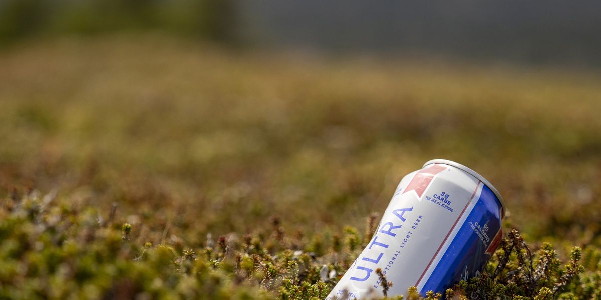 Is drinking in Montreal parks legal? The answer is a little complicated Is drinking in Montreal parks legal? The answer is a little complicated