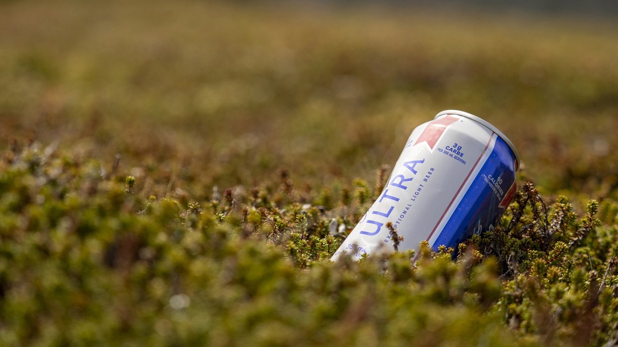 A beer can in grass.