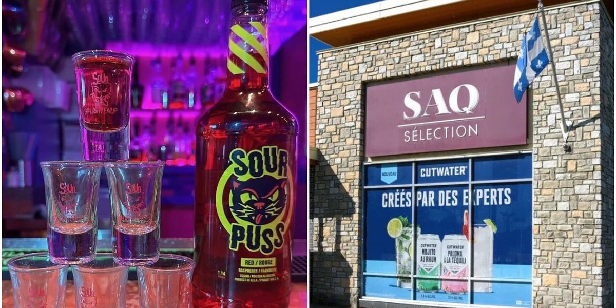 Sour Puss liqueur is returning to SAQ shelves despite Quebec’s boycott — here’s why