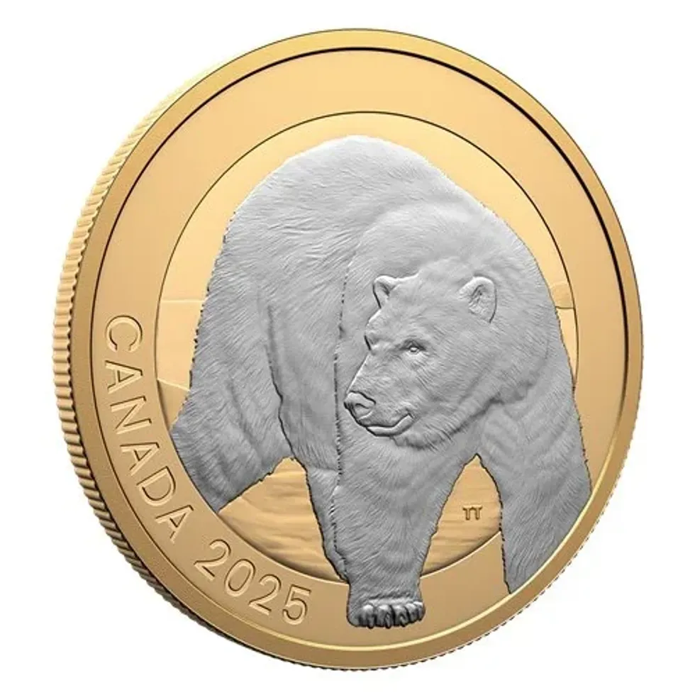 A Canadian coin with an image of a polar bear.
