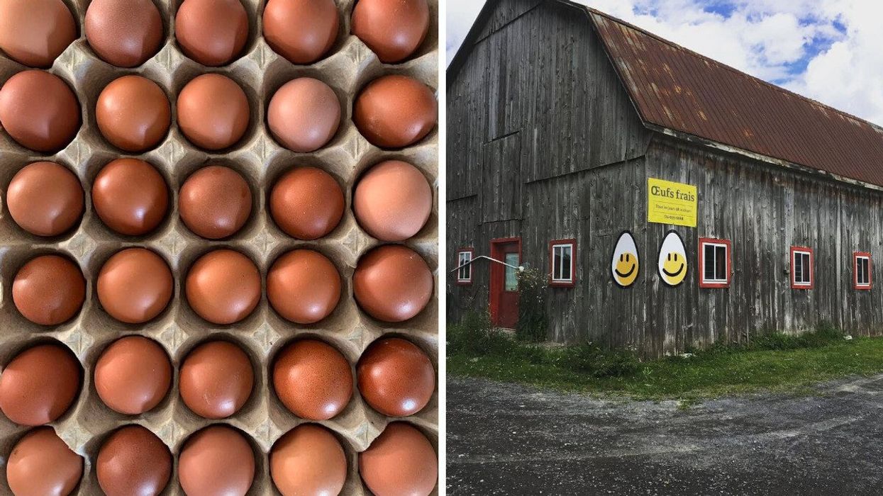 A carton of eggs. Right: An egg farm in Repentigny, Quebec.