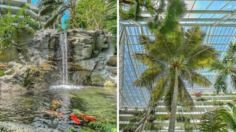 A cascading waterfall flows into a koi pond surrounded by vibrant tropical plants under a tall glass ceiling filled with sunlight.