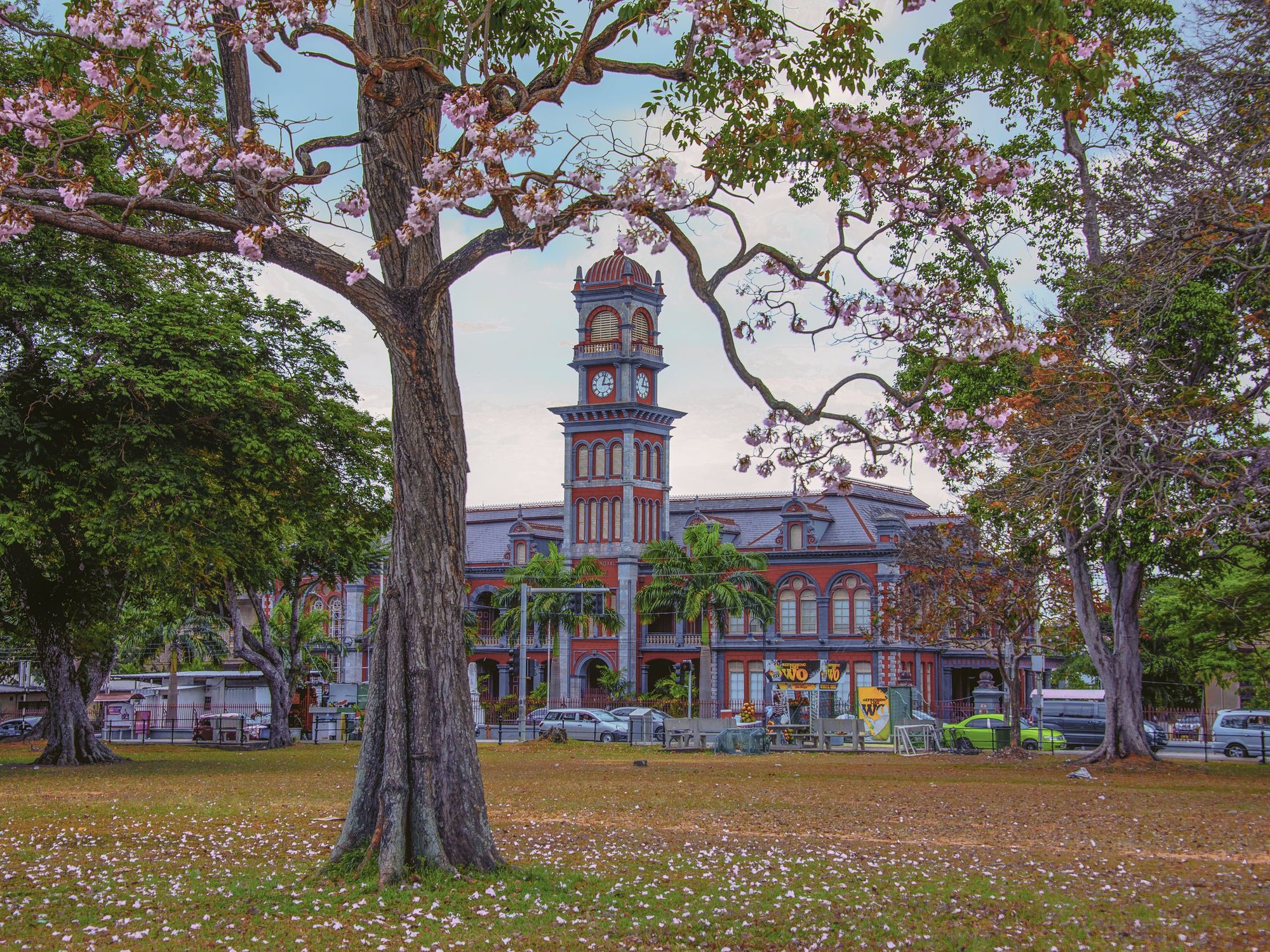 A clock tower at the Queen's Royal College framed by a pink poui tree in Port-of-Spain, Trinidad.