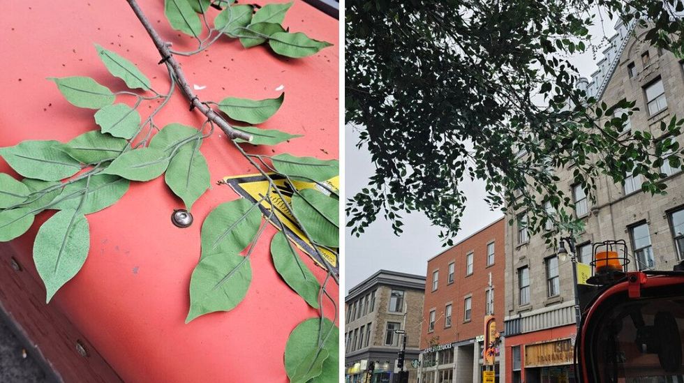 A close-up of the fake leaves ziptied to real branches. Right: Otherwise bare trees now look realistically full.