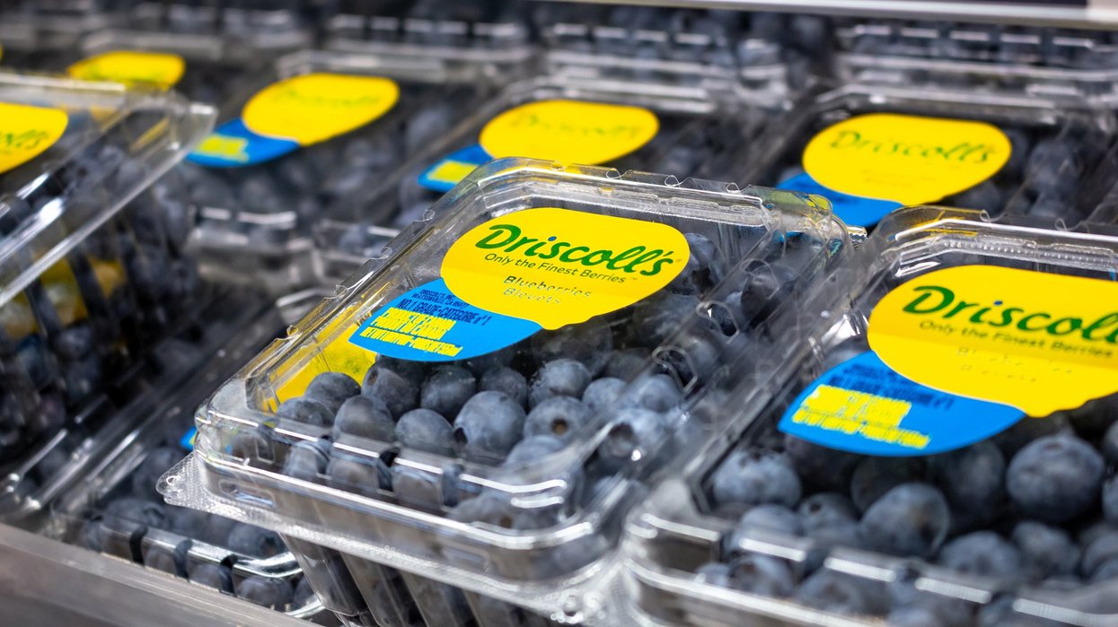 A closeup view of several shell style containers of Driscoll`s blueberries, on display at a local grocery store in Los Angeles, California.
