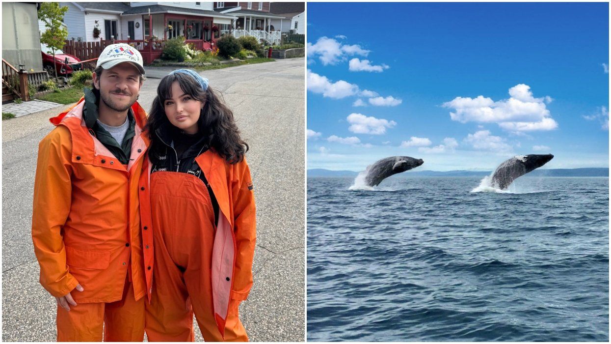 A couple poses in whale watching gear. Right: Two whales jump out of the water in Tadoussac.