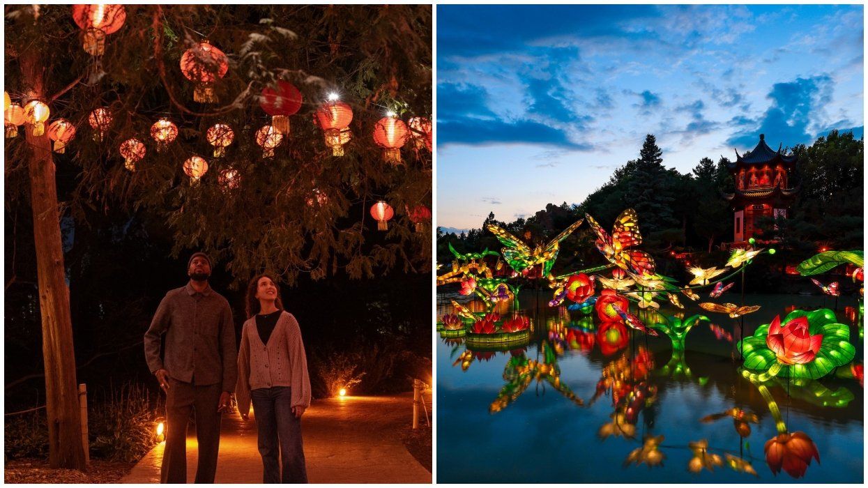 A couple walks through Montreal's Botanical Garden. The Gardens of Light exhibit in Montreal