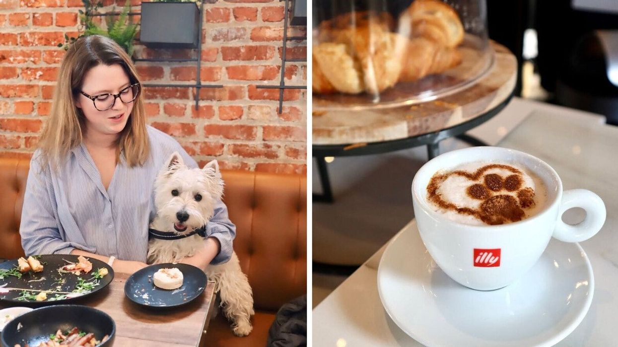 A dog and owner sit down for a meal at a cafe. Right: A latte featuring a paw print design.