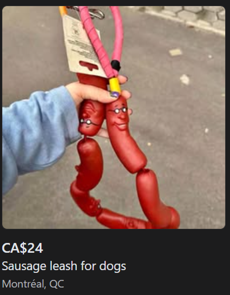 A dog leash.
