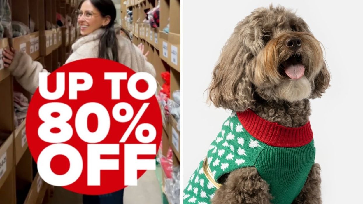 A flyer for Silver Paw's Christmas warehouse sale. Right: A dog wearing a Silver Paw brand Christmas sweater.