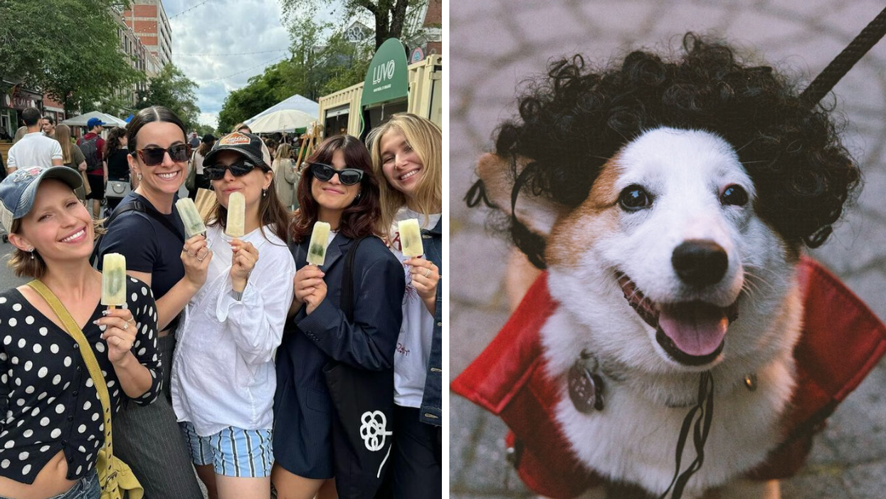 A group of people eating POP Culture Gourmet Popsicles at a festival on The Main. Right: A Corgi dressed in costume.