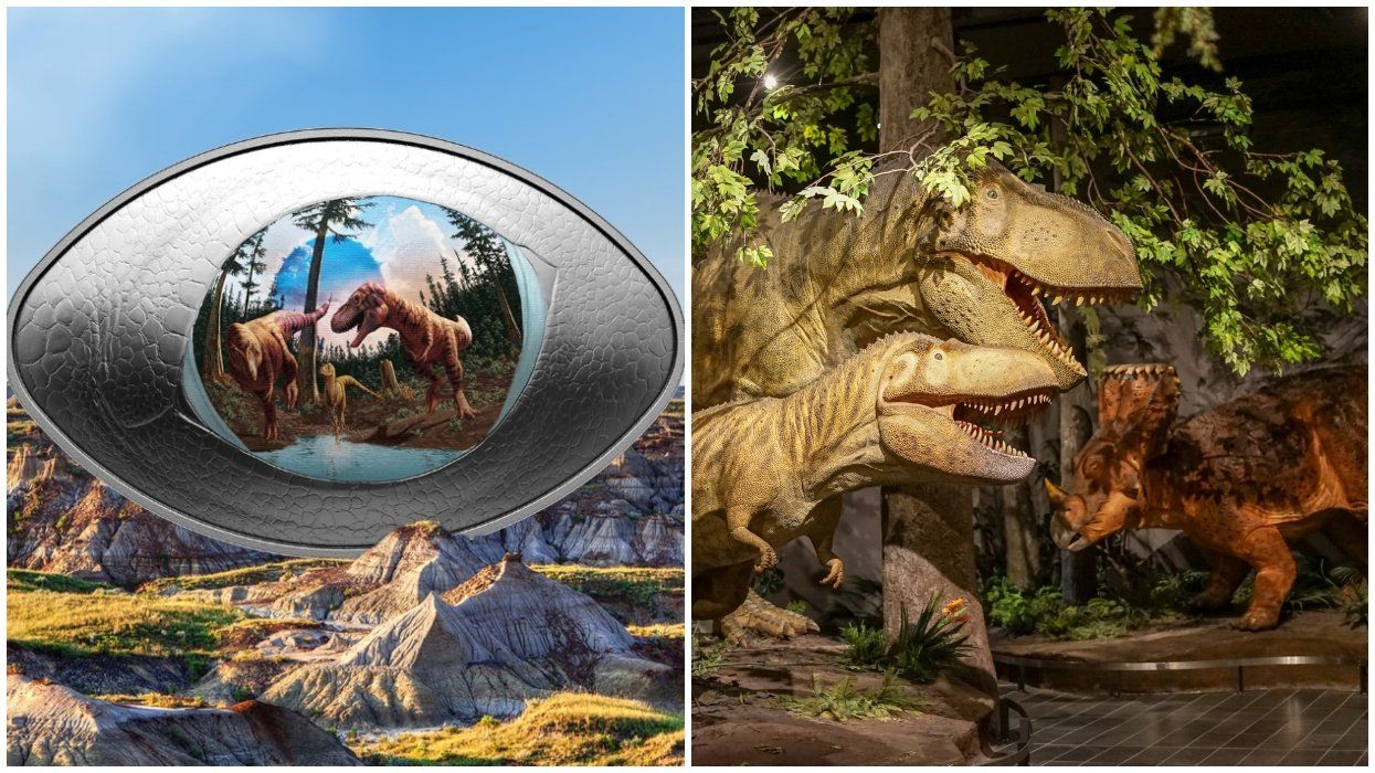 A new Canadian coin. RIght: Fake dinosaurs in a musuem