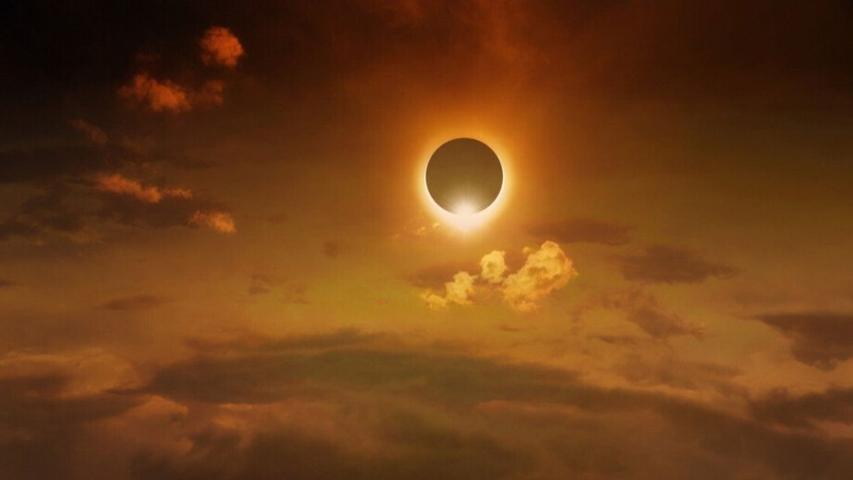 A partial solar eclipse captured from the ground.