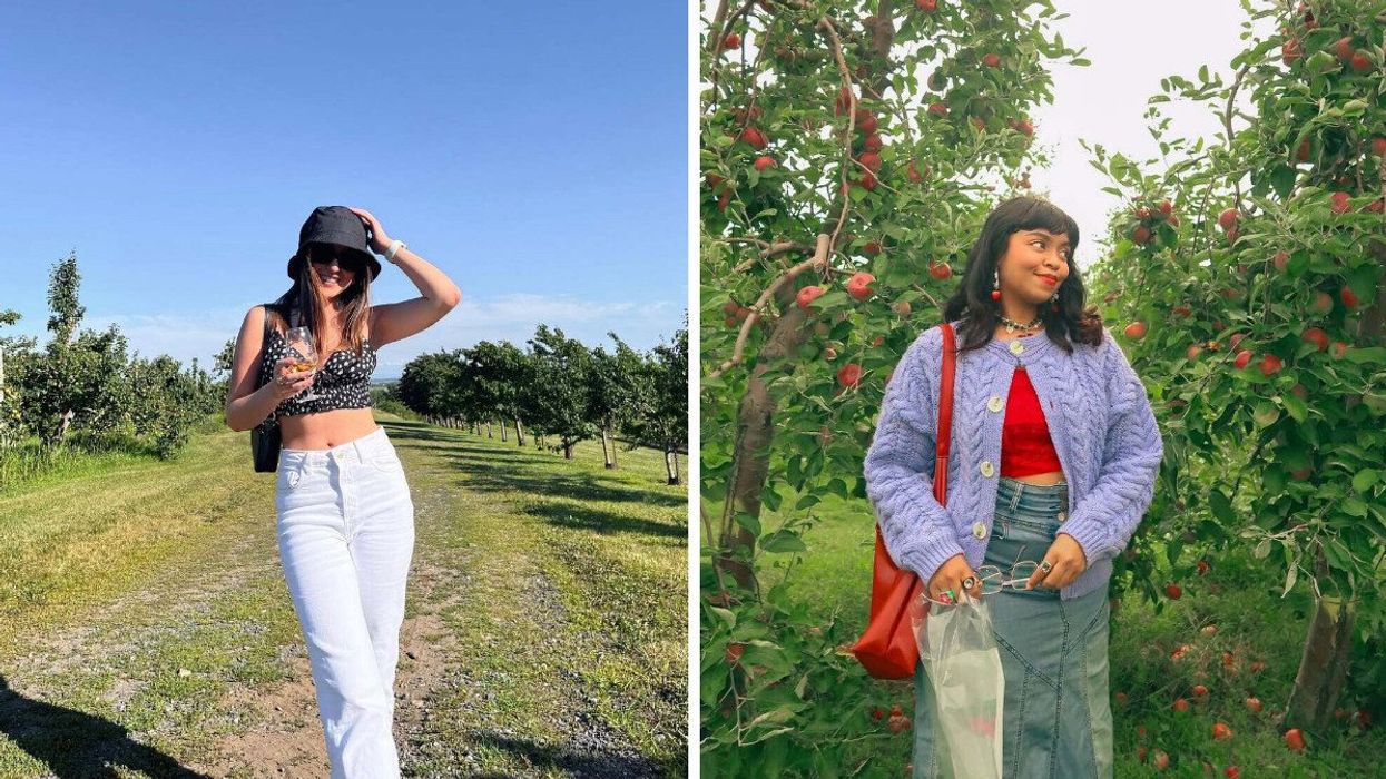 A person at a vineyard in Quebec. Right: A person picks apples in an orchard in Quebec.