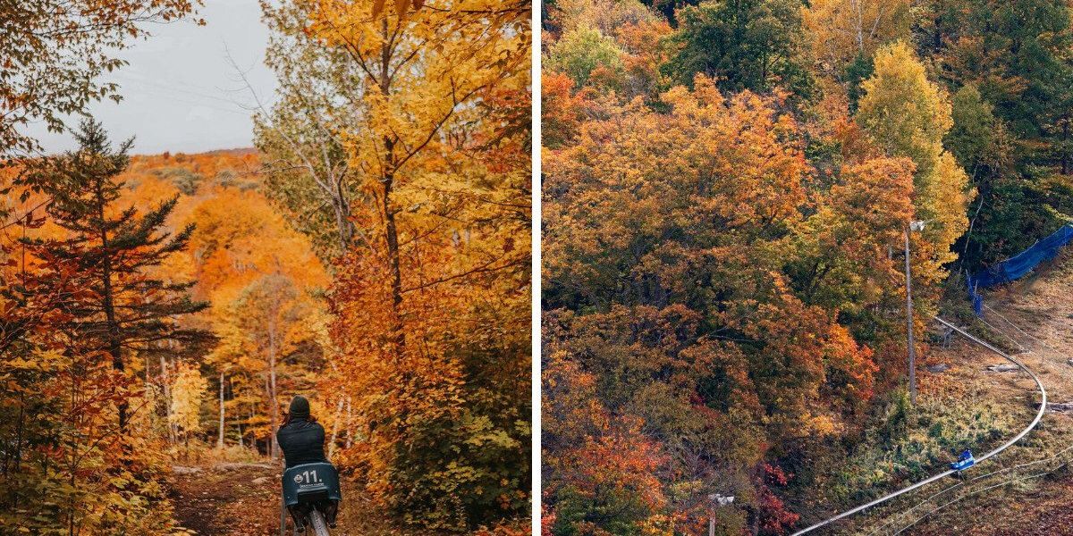 Mtl Library This 1-km mountain coaster near Montreal lets you soar through a red ...