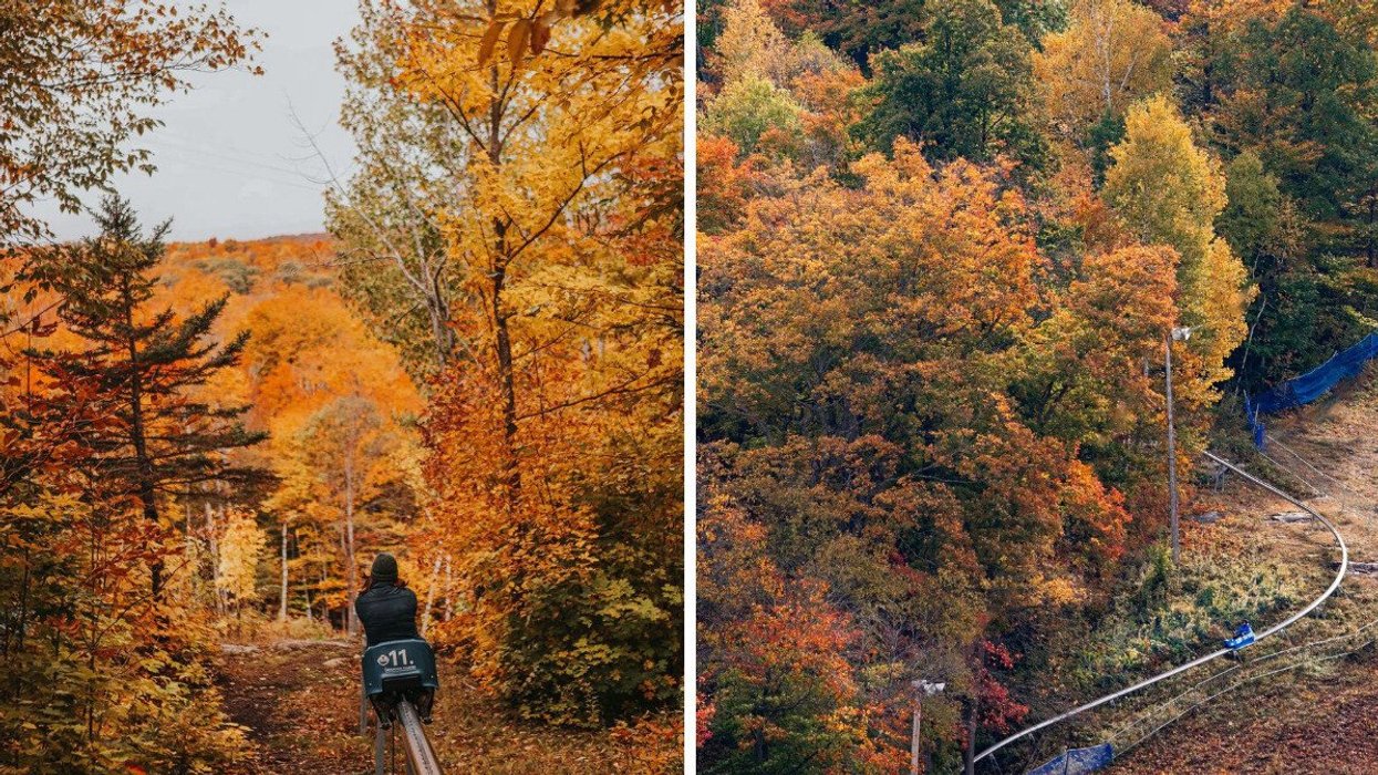 A person rides a coaster through a red and gold forest near Montreal. Right: A mountain coaster near Montreal.