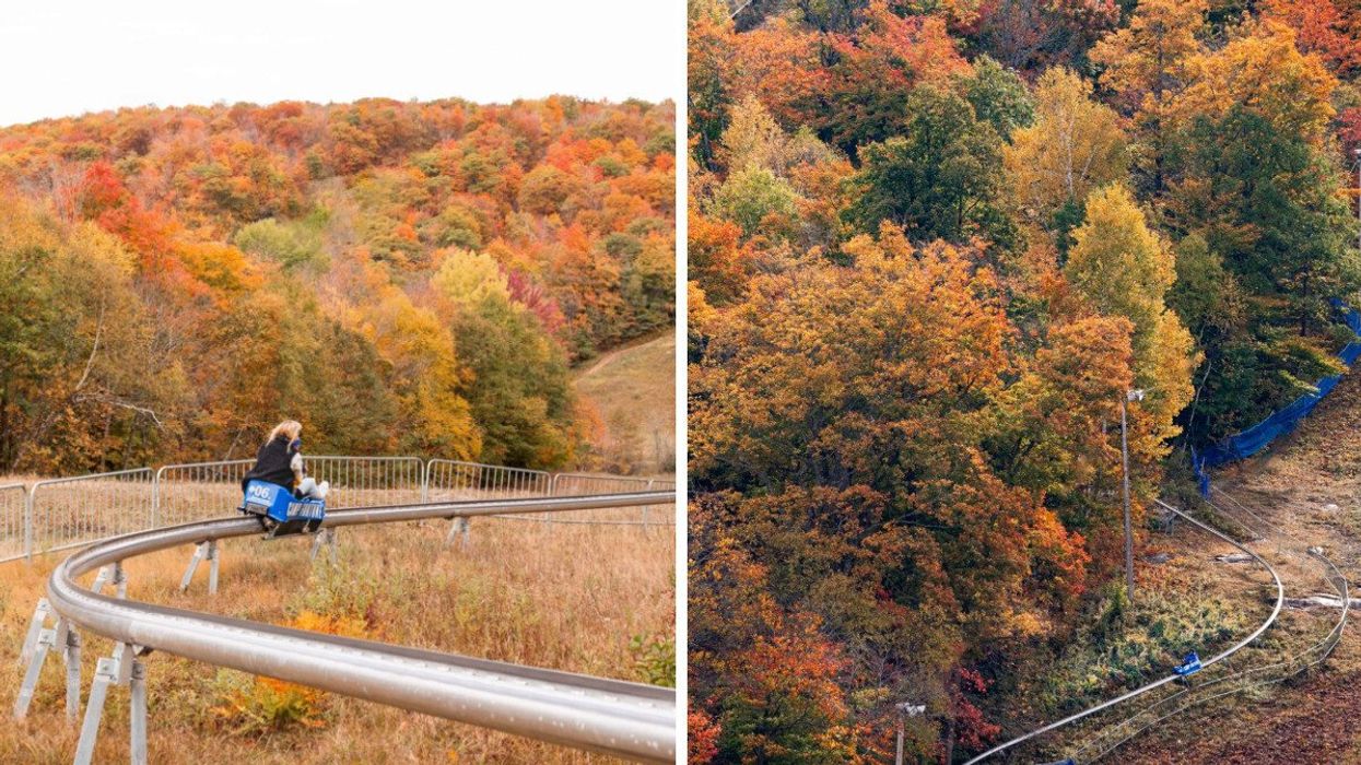A person riding a mountain coaster. Right: A mountain coaster track.