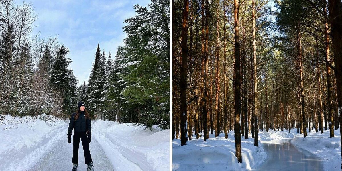 This 15 km Quebec skating trail winds through a glistening pine forest that looks like Narnia This 15 km Quebec skating trail winds through a glistening pine forest that looks like Narnia