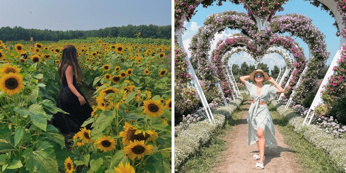 This farm near Montreal is a floral wonderland with thousands of blooms and sunflower trails This farm near Montreal is a floral wonderland with thousands of blooms and sunflower trails