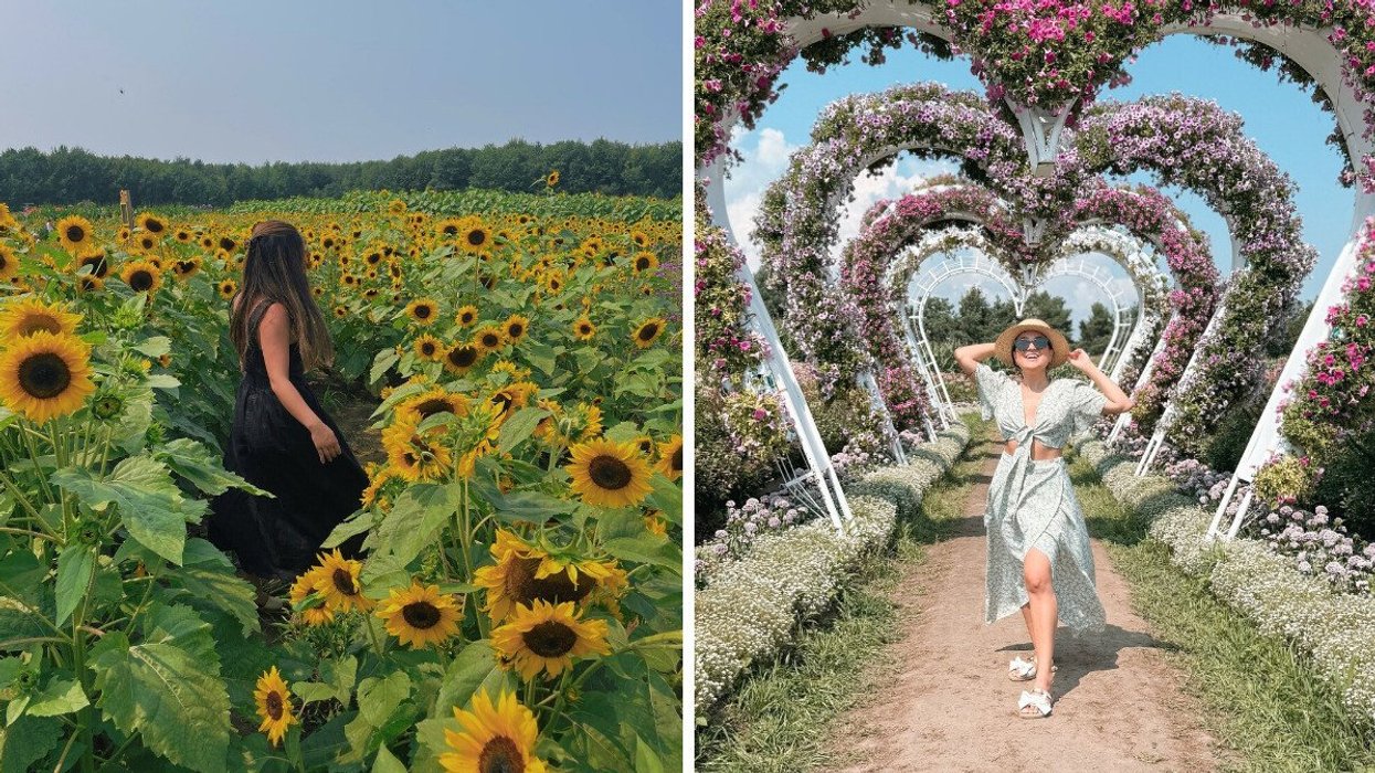 A person walks through a field of sunflowers. Right: A person stands under a heart-shaped archway filled with flowers.