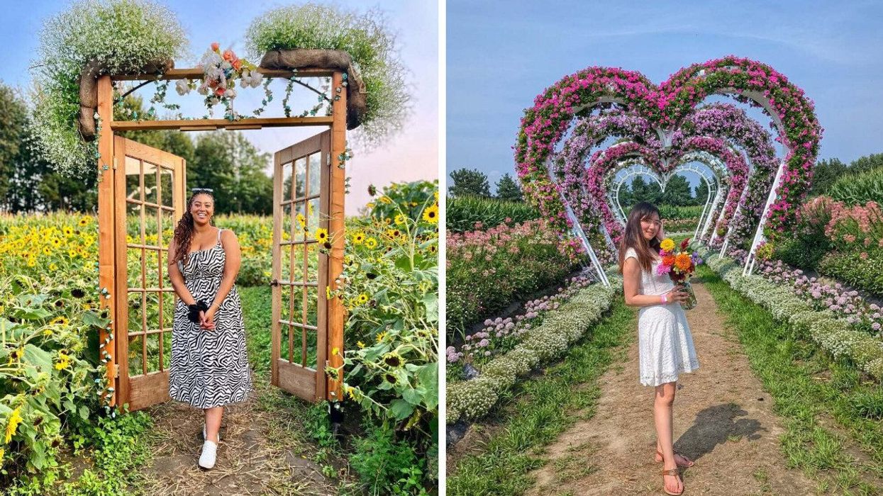 A person walks through a sunflower field near Montreal. Right: A person stands by an arch of flowers shaped like a heart.