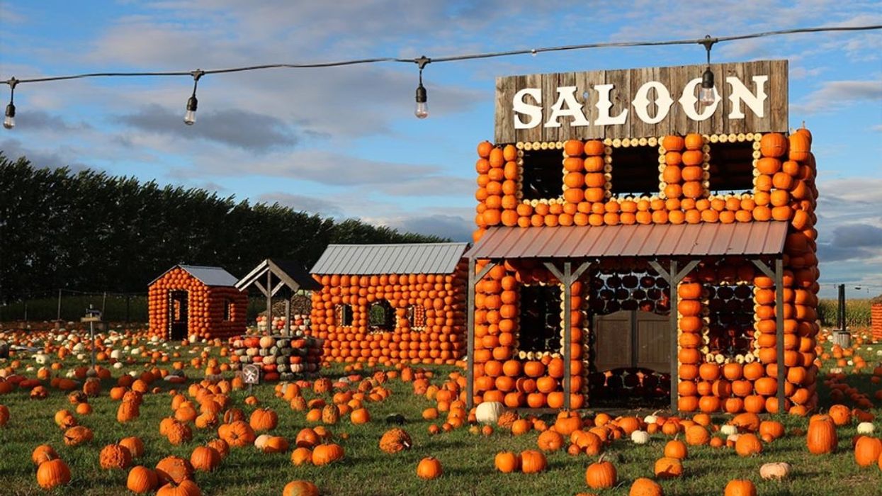 A photo of the CitrouilleVille pumpkin patch grounds in Saint-Zotique, Quebec.