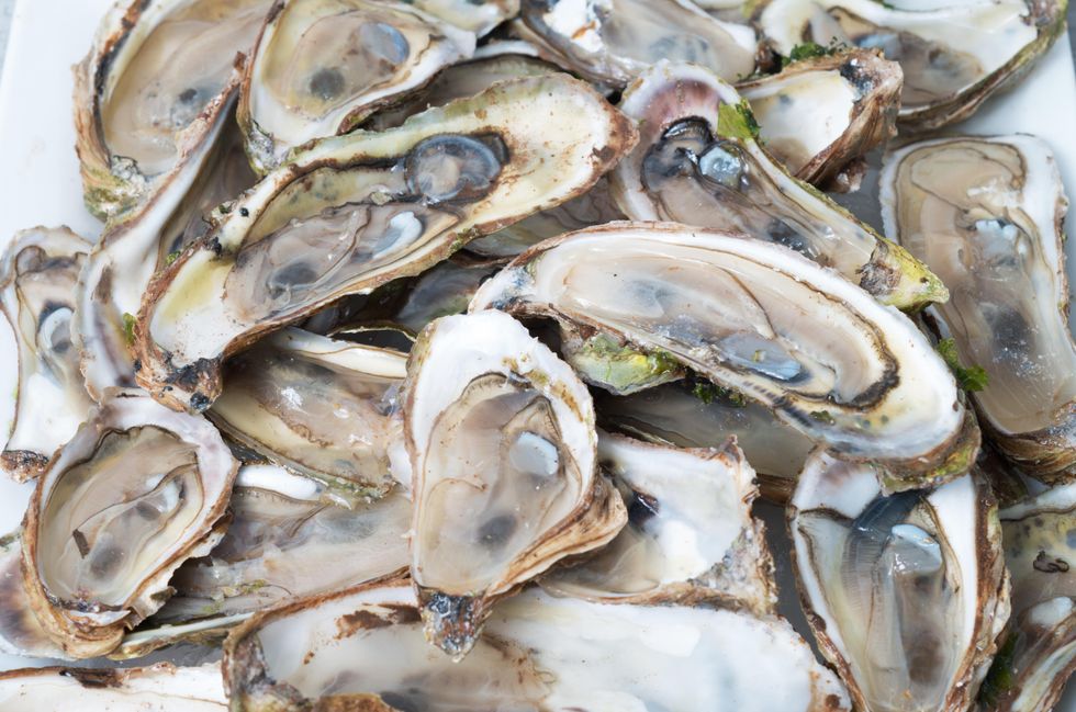 A pile of opened oysters.