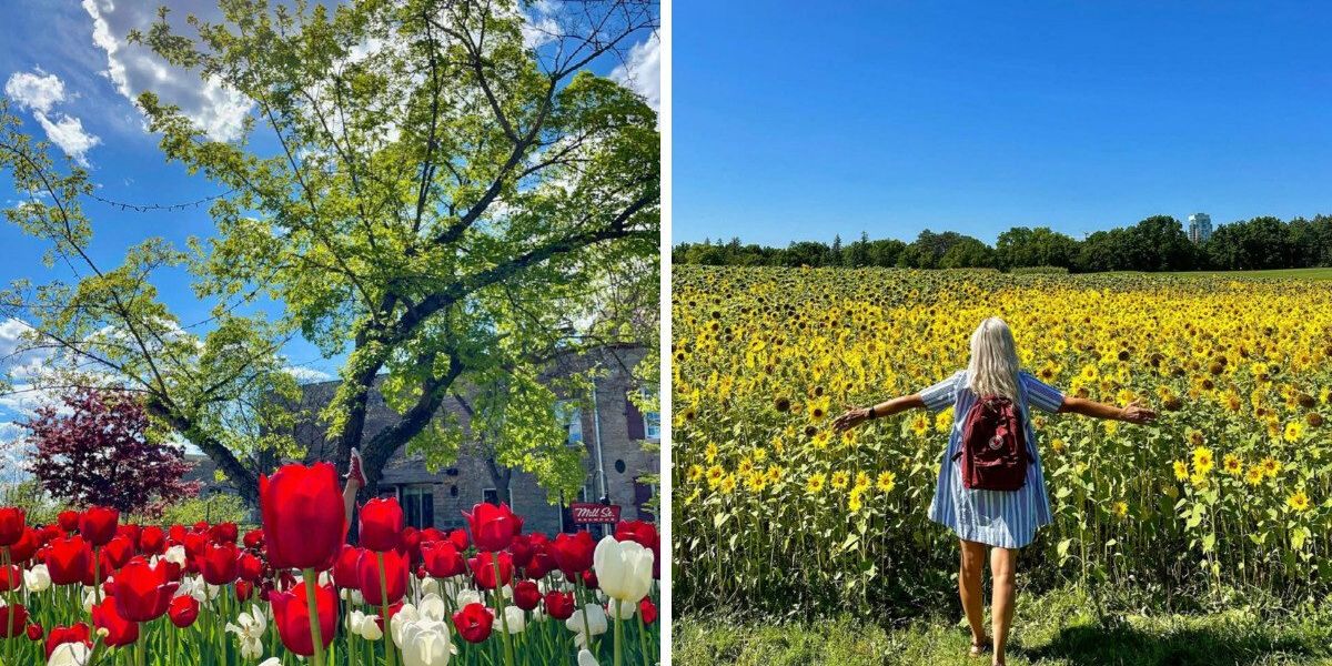Canada’s #1 big city to live in is a colourful, charming spot near Montreal Canada’s #1 big city to live in is a colourful, charming spot near Montreal