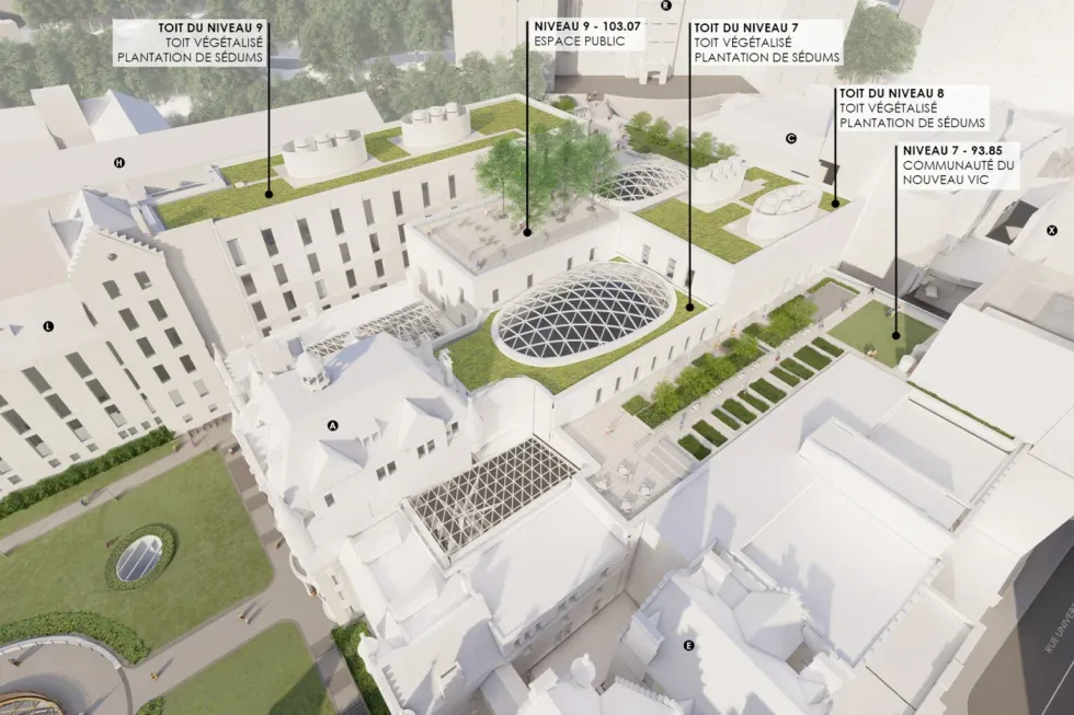 Una representación muestra que la remodelación de McGill incluye una azotea pública y techos verdes donde se plantarán sedums.
