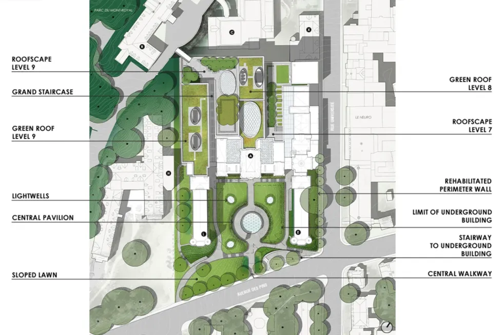 Una representación muestra que la remodelación de McGill incluirá techos verdes, un pabellón central redondo y césped inclinado.