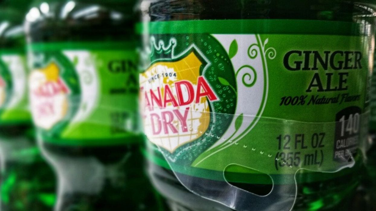 A row of Canada Dry ginger ale.