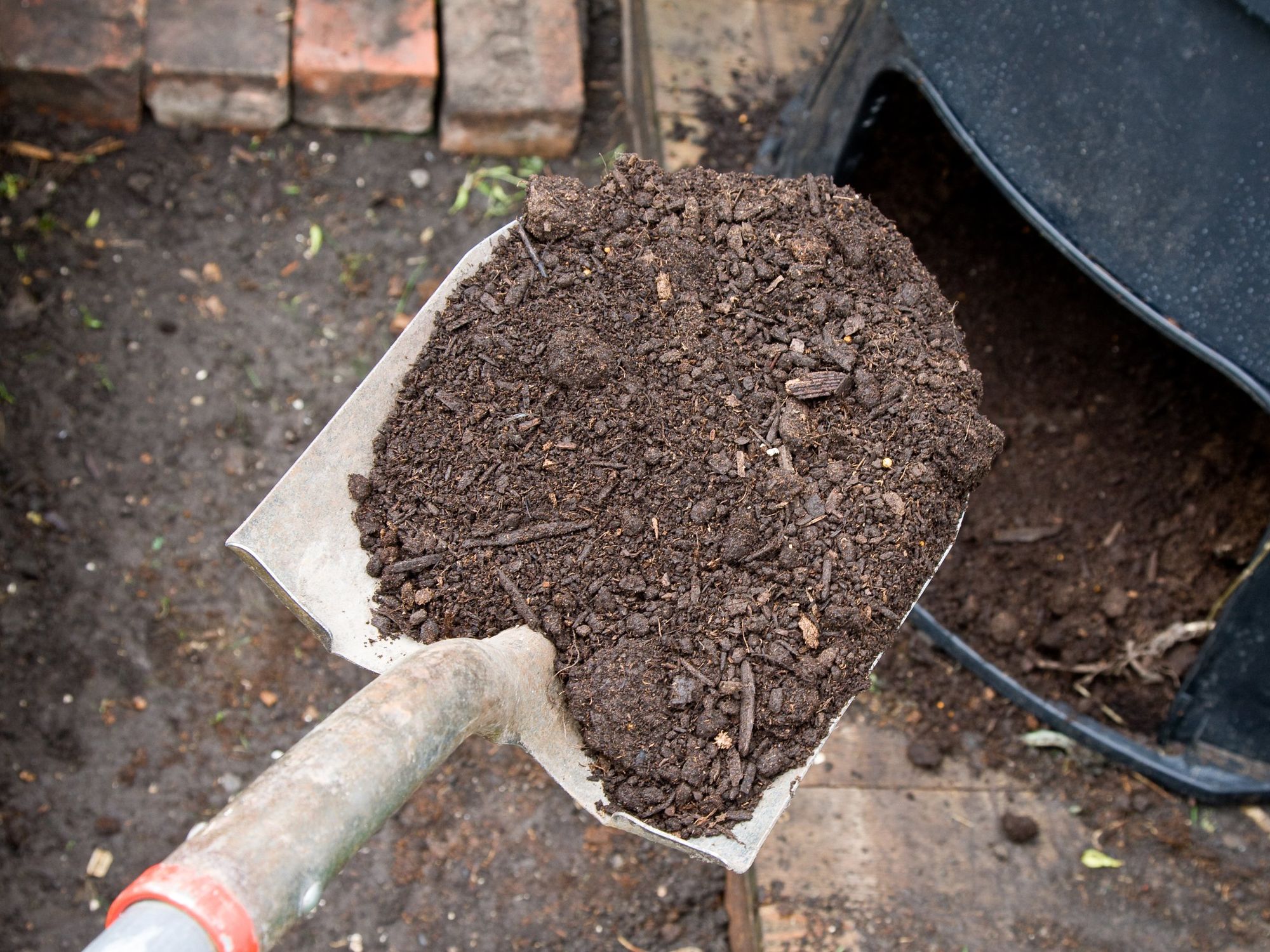 A shovel filled with compost.