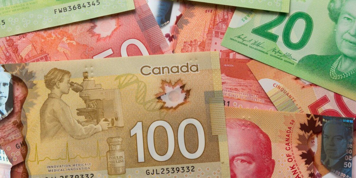 7 government benefits and payments Quebecers can receive this February 7 government benefits and payments Quebecers can receive this February