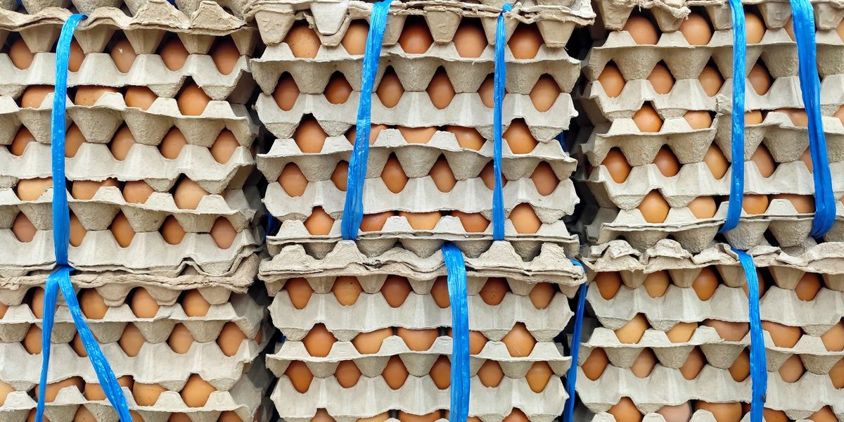 Multiple egg products were just recalled in Quebec over Salmonella concerns Multiple egg products were just recalled in Quebec over Salmonella concerns