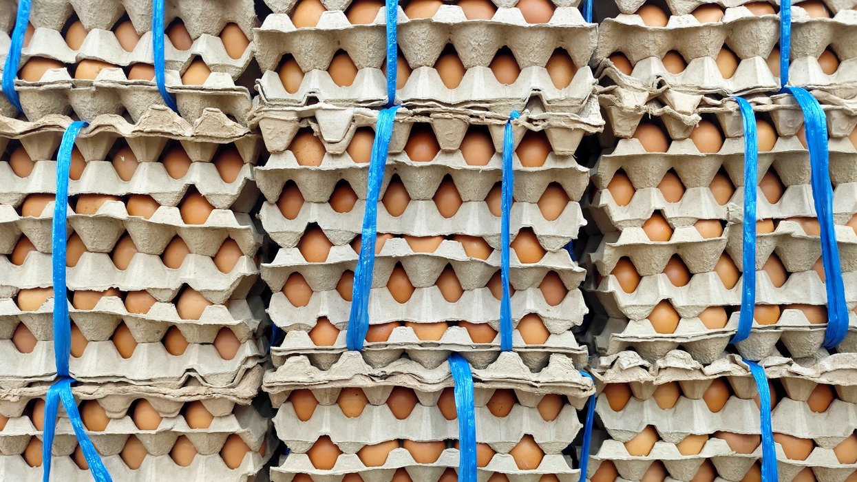 A stack of egg cartons.