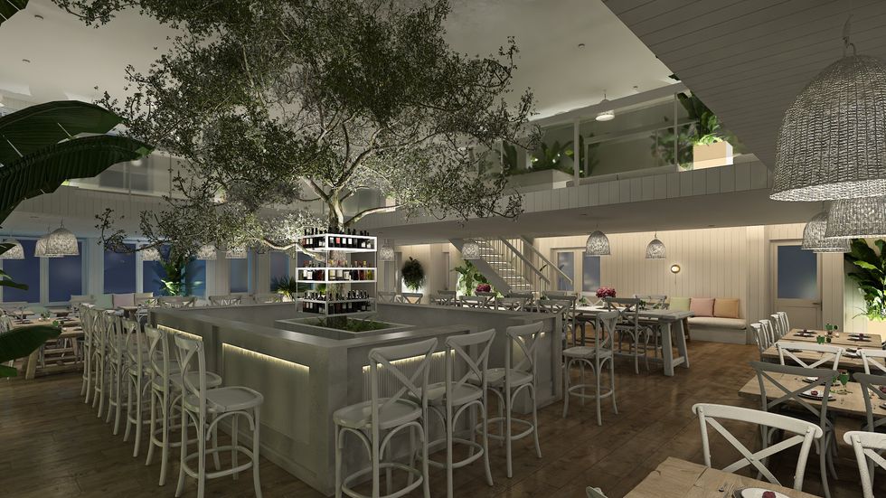 A tree sits at the centre of the bar in the all-white interior.