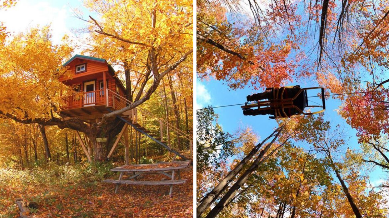 A treehouse in fall. Right: A low-angle shot from under a person riding a sky bike, suspended amongst colourful treetops.