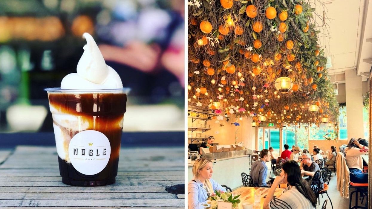 A vanille soft serve with iced coffee poured on top. Right: People dining underneath a ceiling adorned with orange trees.