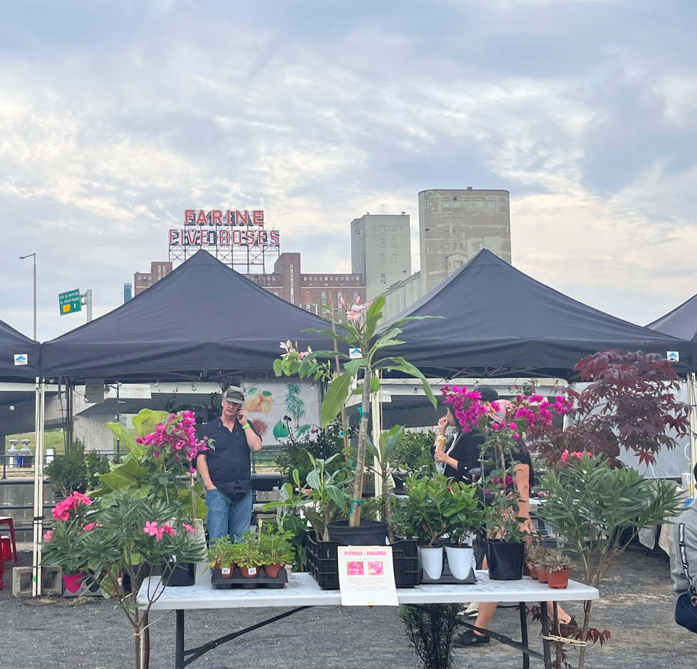 A vendor sells plants along the far side of the festival.