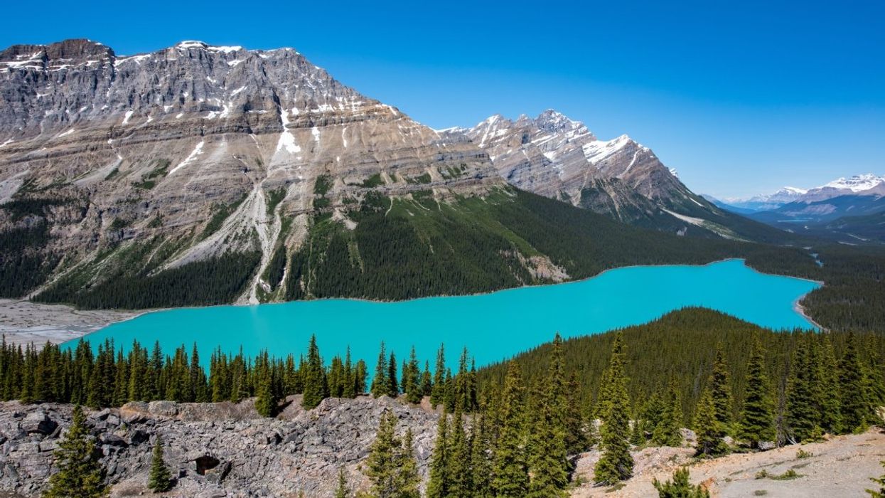 A view of Lake Payto's turquoise waters from the top of the hiking trail in Alberta, Canada during the summer.