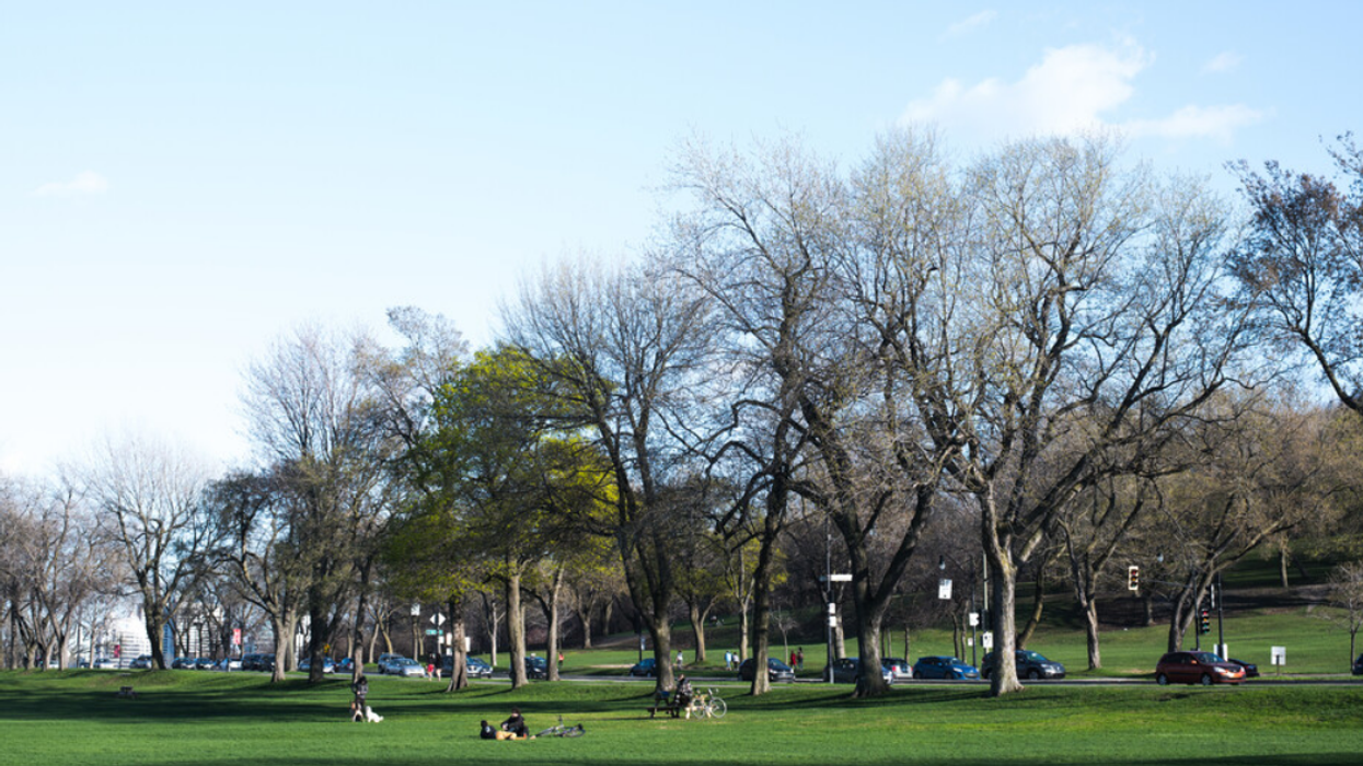 A view of Montrealers hanging out at Jeanne Mance Park.