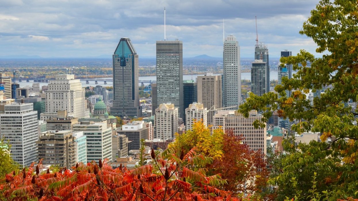 A view of the Montreal skyline during the fall from the Mont-Royal lookout.