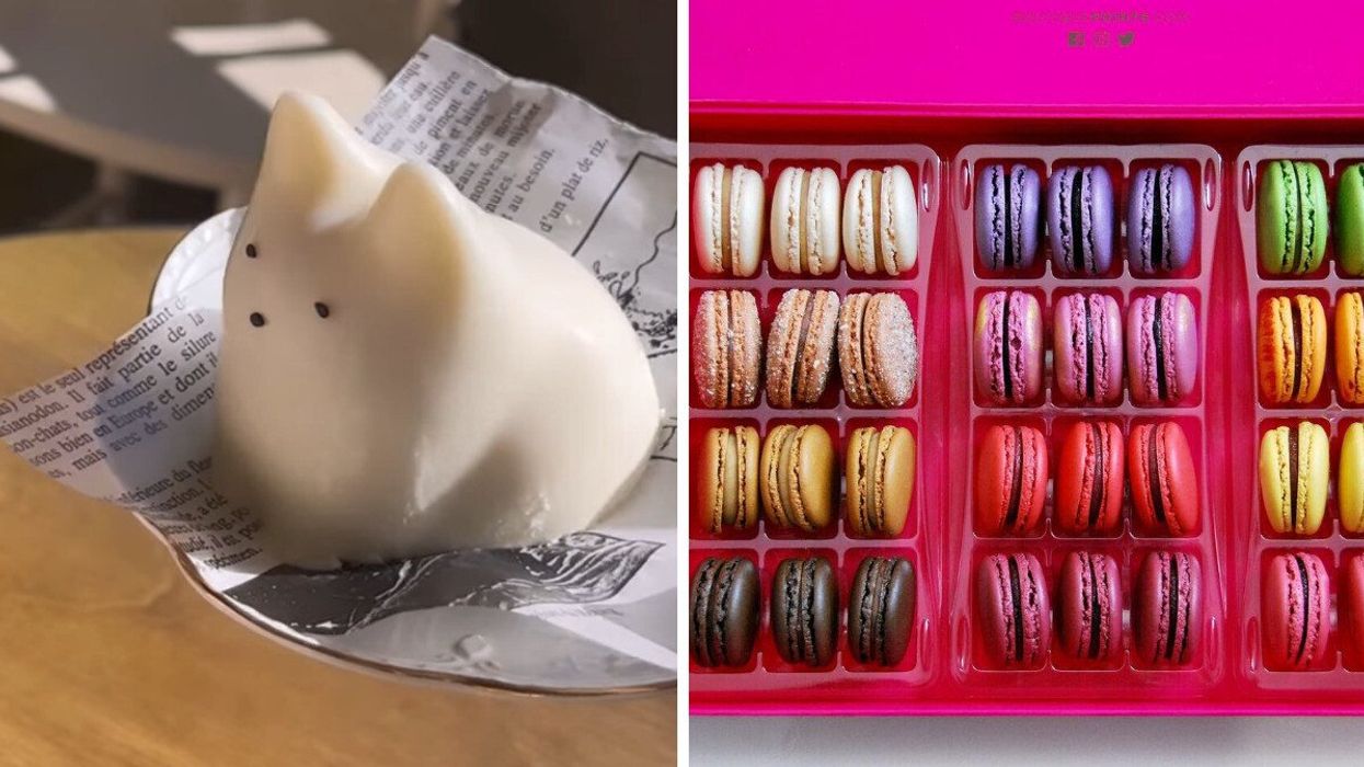 A white milk and gelatin cat-shaped pudding. Right: A pink box fill with rainbow-hued macarons.