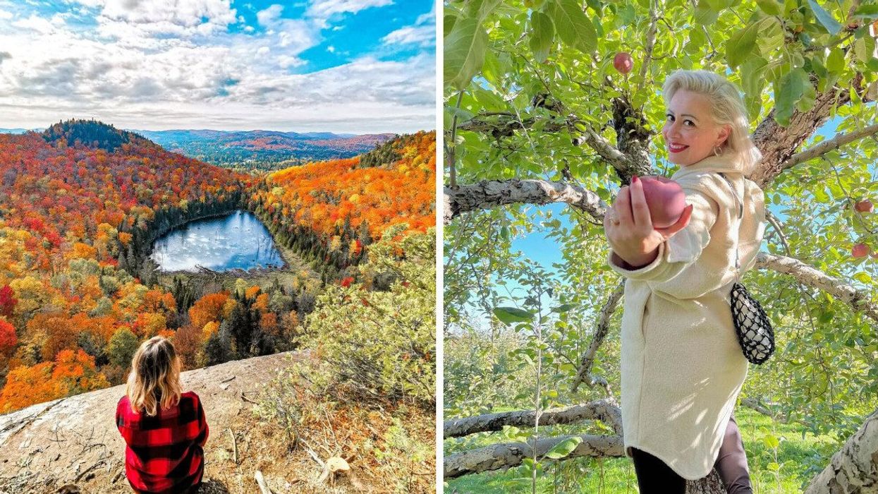 A woman overlooks colourful fall foliage. Right: A woman picks for apples.