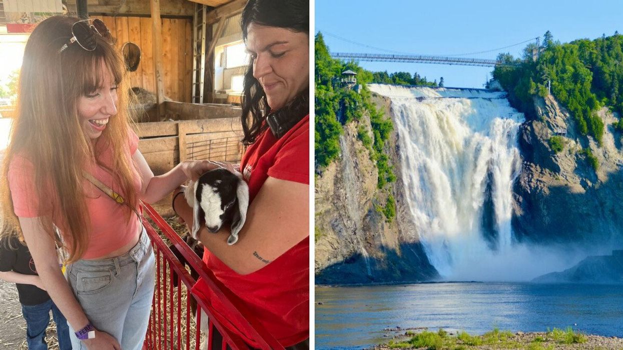 A woman pets a baby goat. Right: A suspension bridge overlooks a large waterfall.