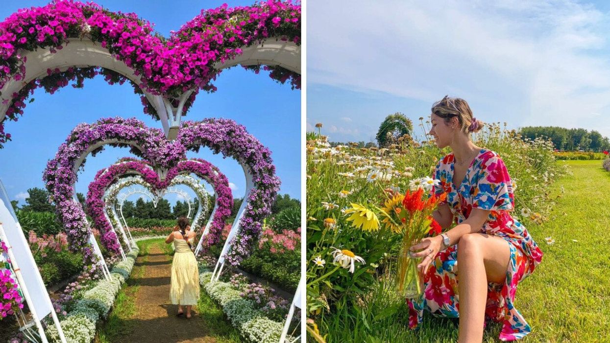 A woman poses among many purple flower arches. Right: A woman smiles while picking flowers.