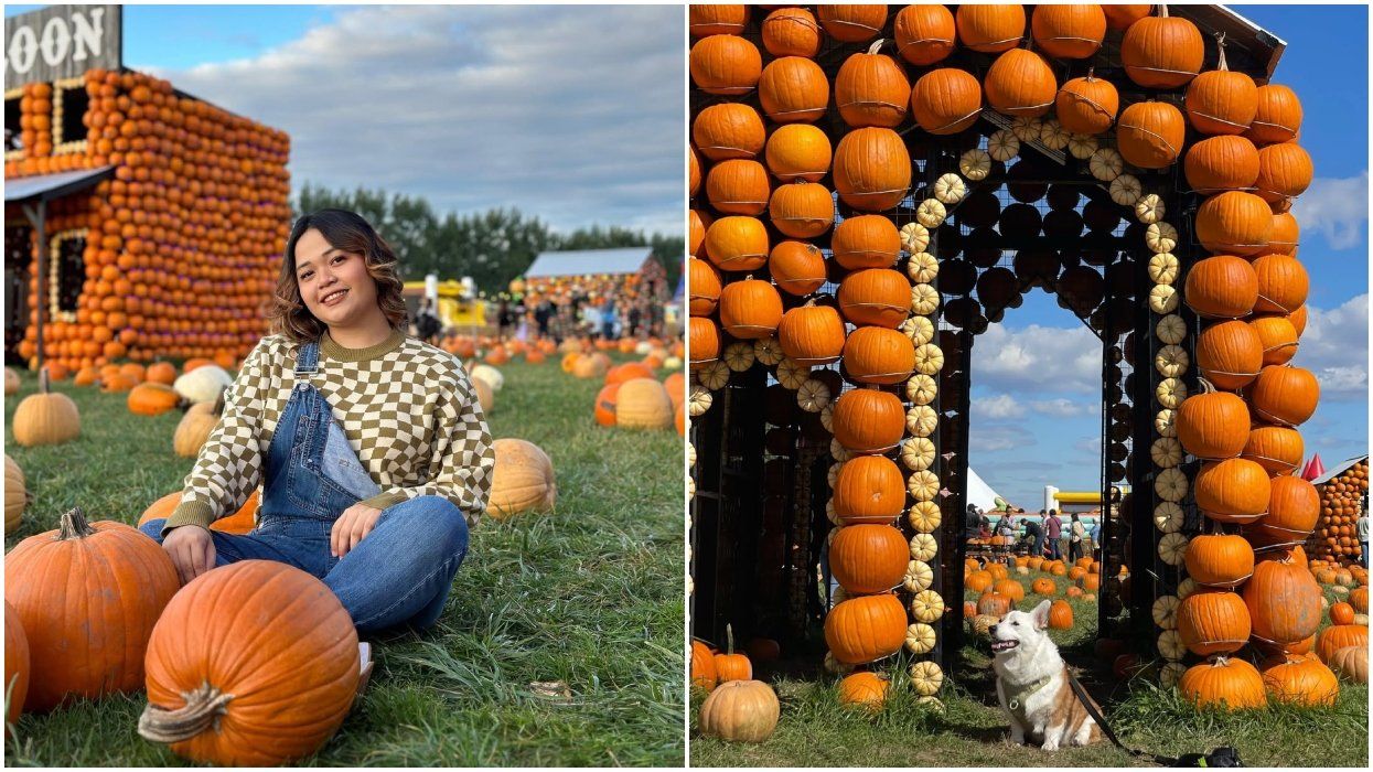 A woman poses in a pumpkin patch. Right: A dog poses in a pumpkin patch outside Montreal.