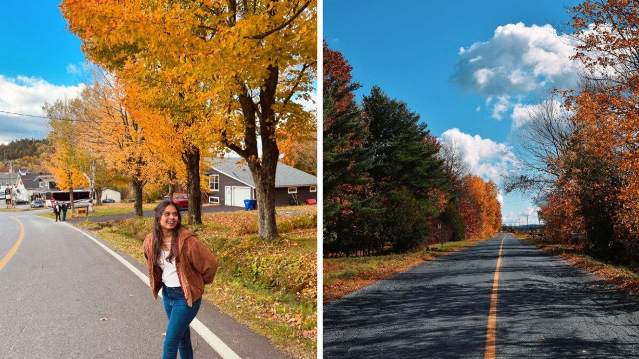 A woman smiles and poses surrounded by trees with golden leaves. A Frelighsburg streed lined with fall colours.