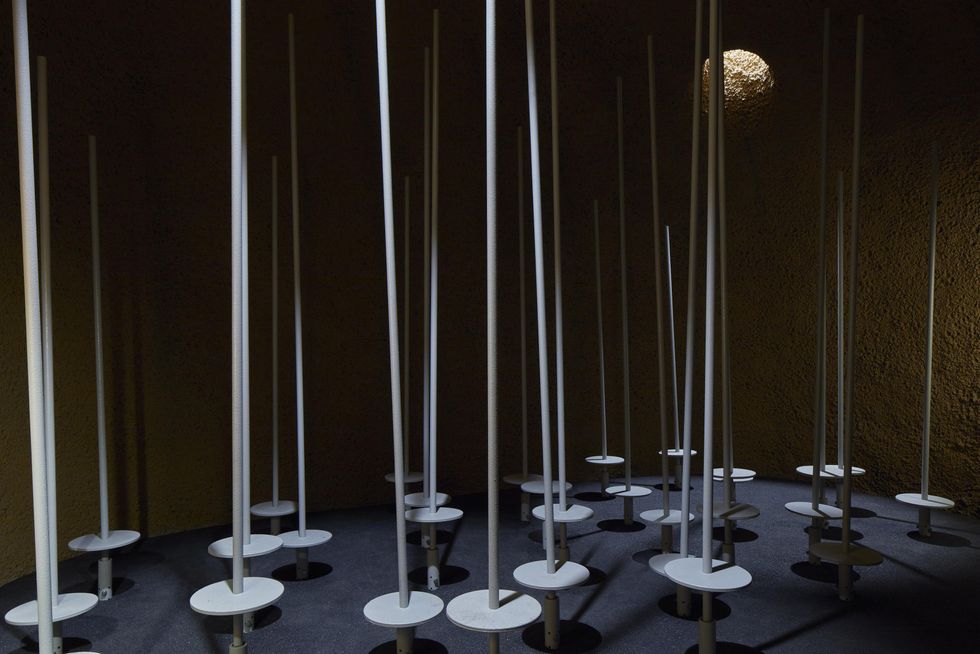 Activity in an alcove in the Labyrinth of the Montreal Insectarium.